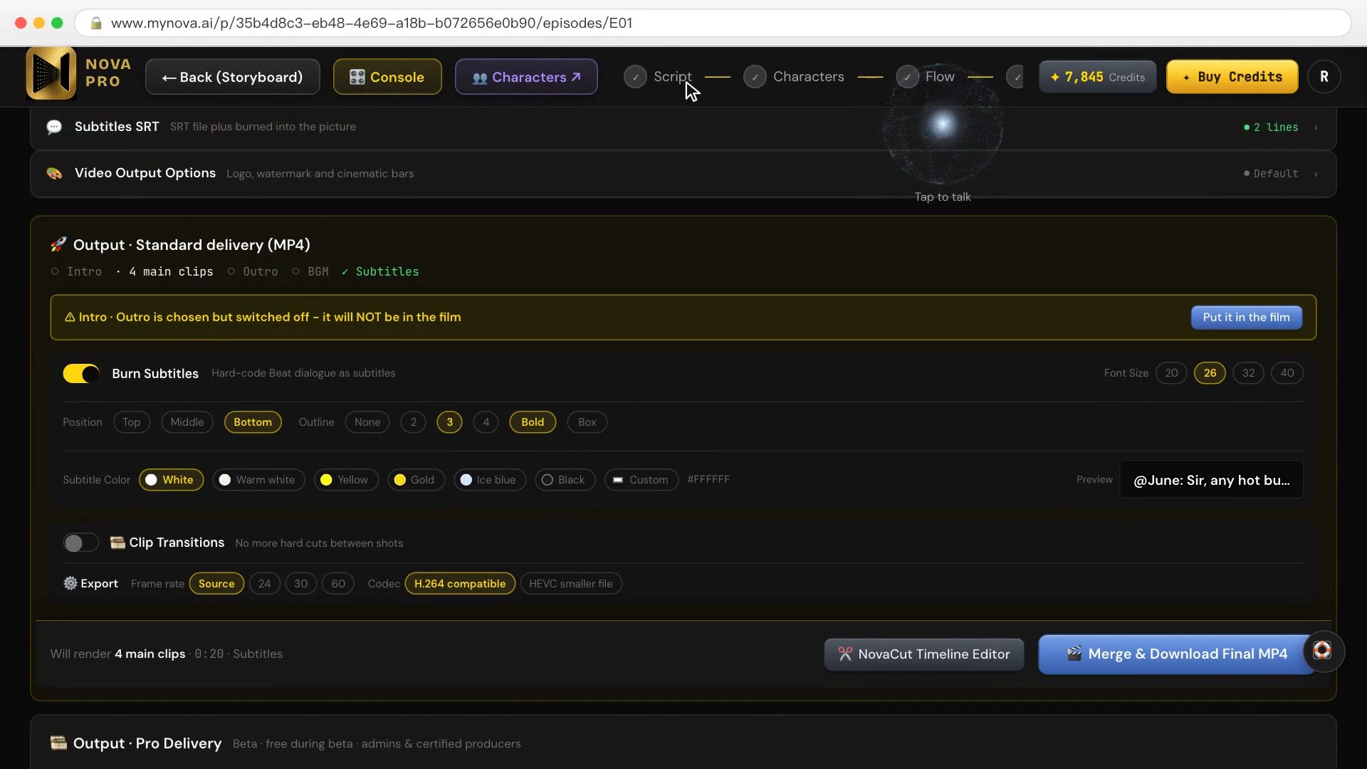 The final-cut page: voice, subtitles, intro and outro, with export settings below
